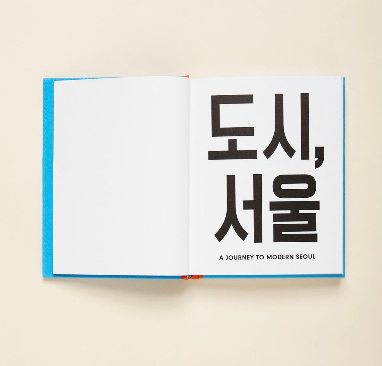 A_Journey_to_Modern_Seoul_Poets_Punks