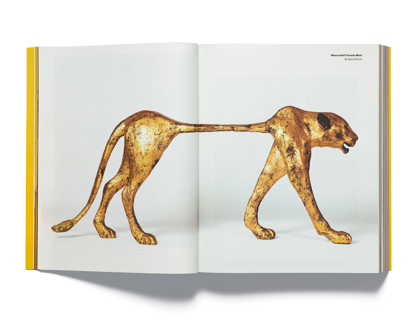 Acne-Paper-Magazine-Issue-20-Golden-Pic-3