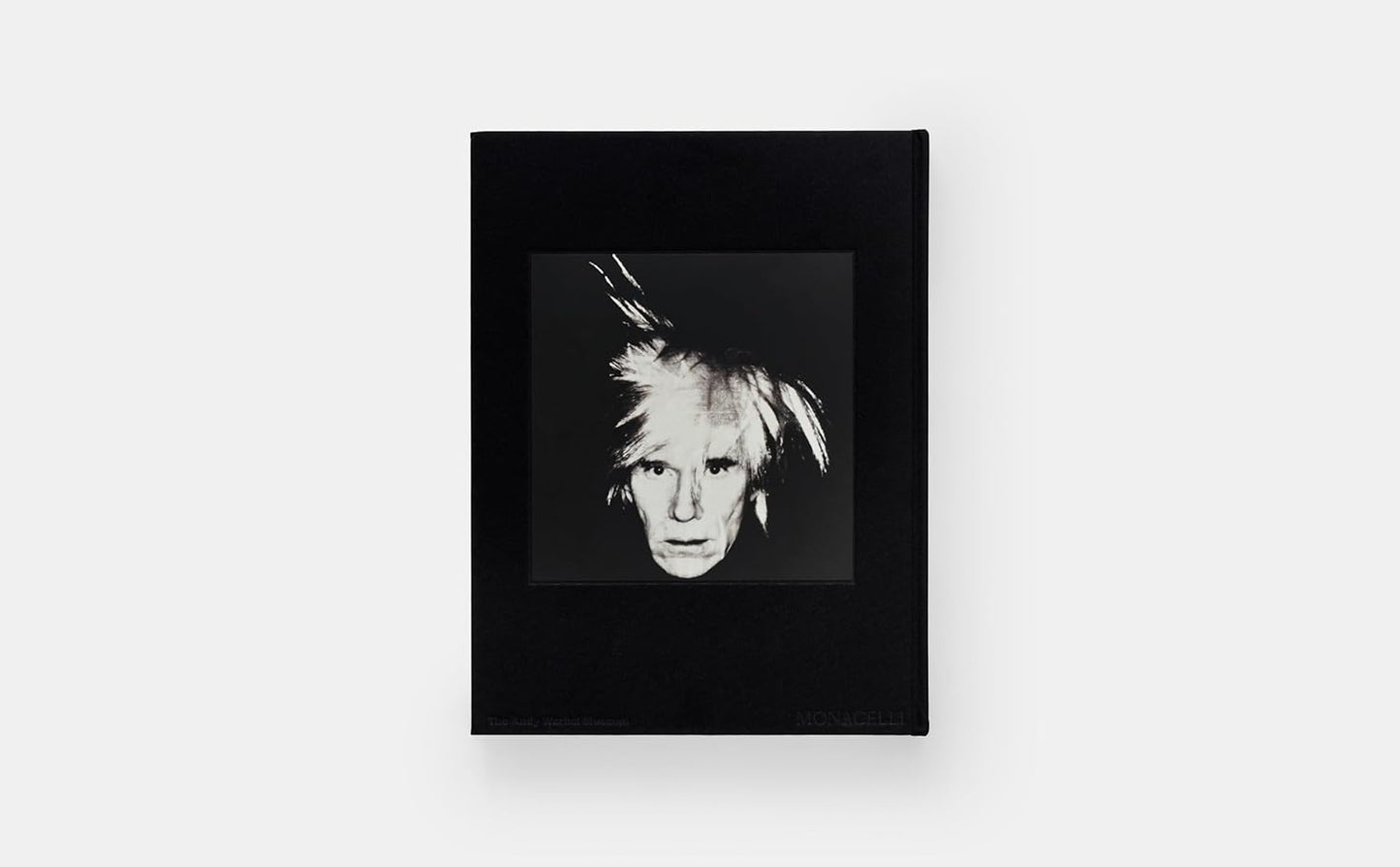 KAWS_Warhol_Book_Pic_1
