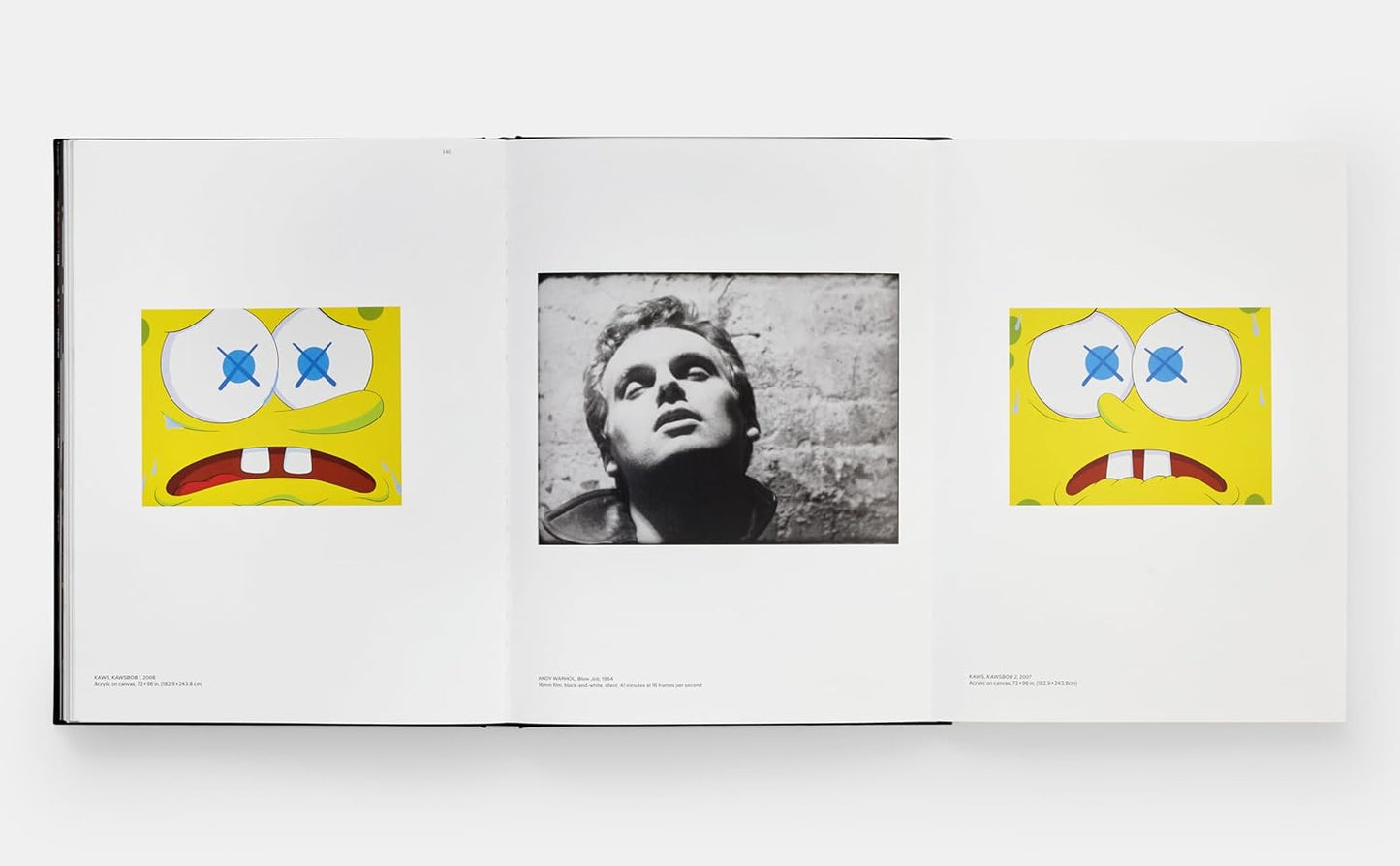KAWS_Warhol_Book_Pic_5