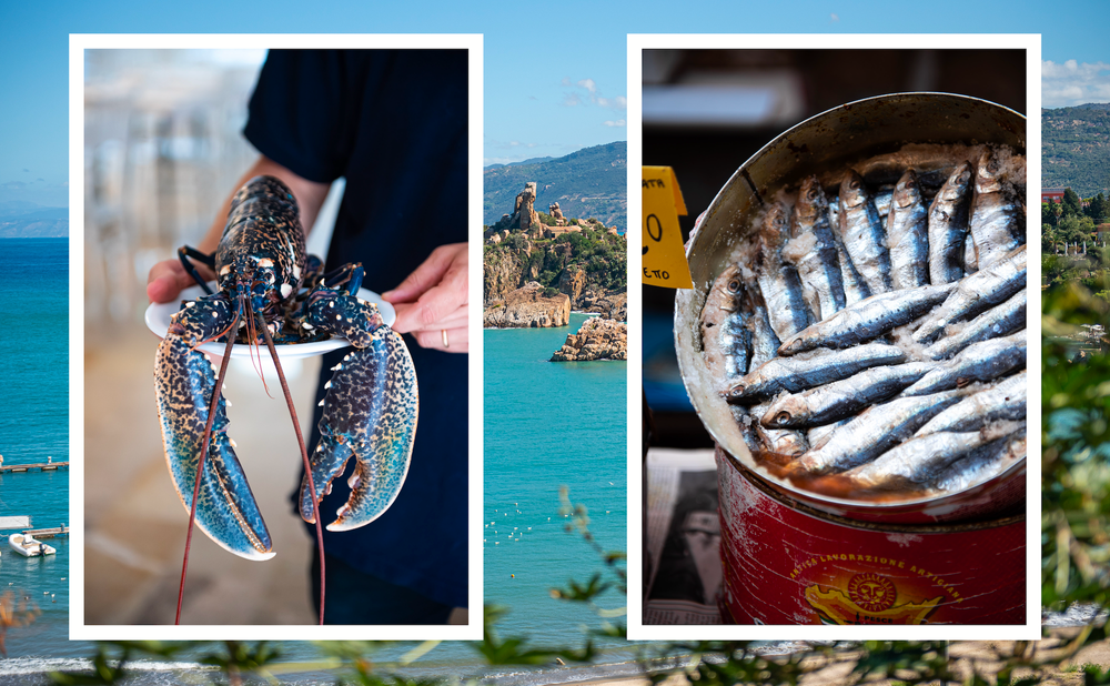 Lodestras_Issue_18_Islands_Pic_4