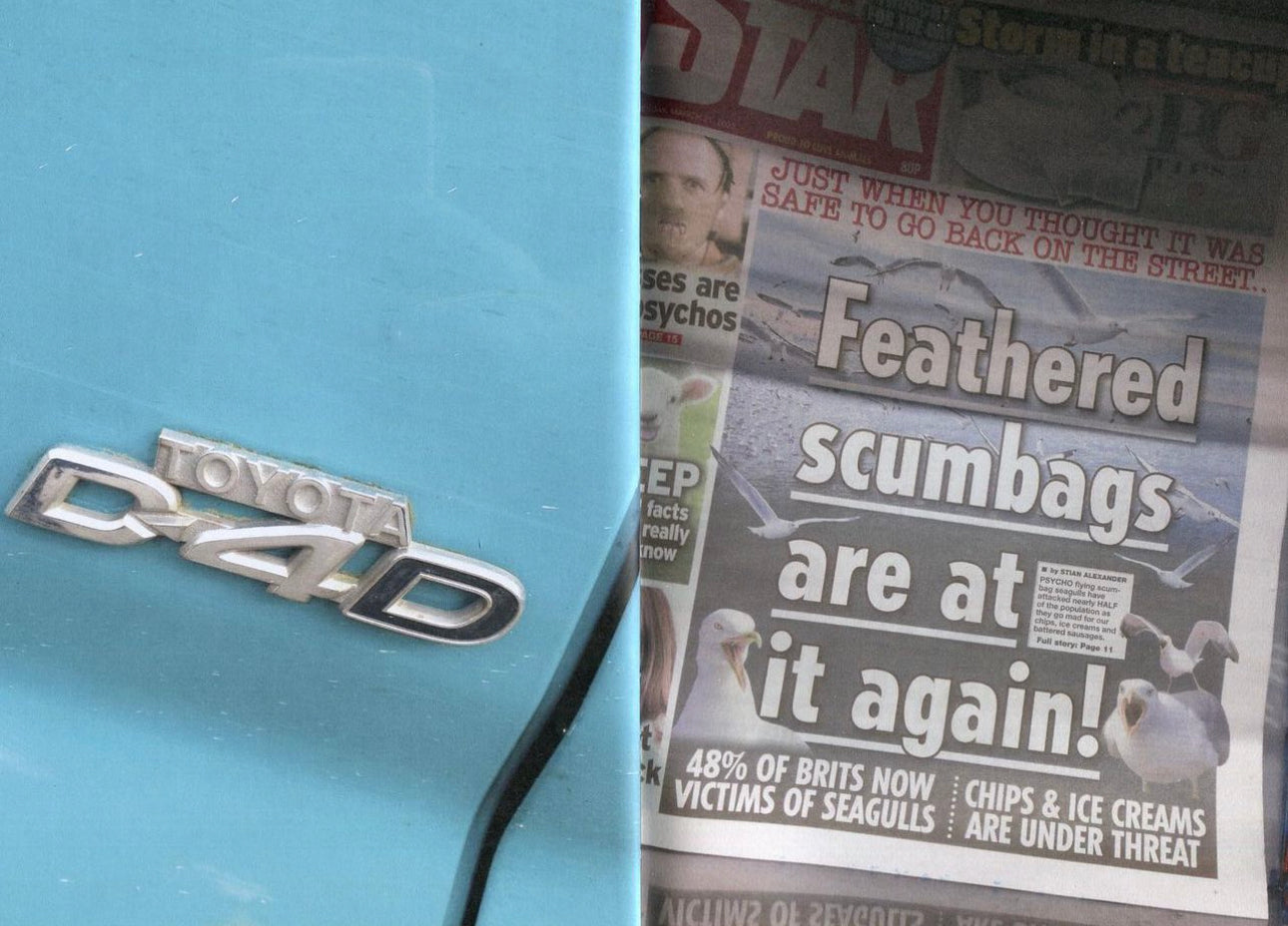 World_Force_Sam_Waller