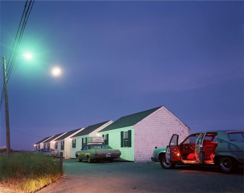 The_Pleasure_of_Seeing_Conversations_with_Joel_Meyerowitz
