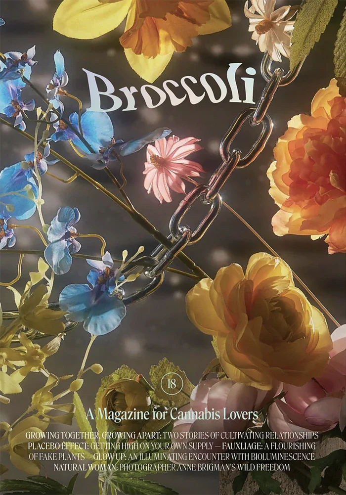 Broccoli_Magazine_Issue_18