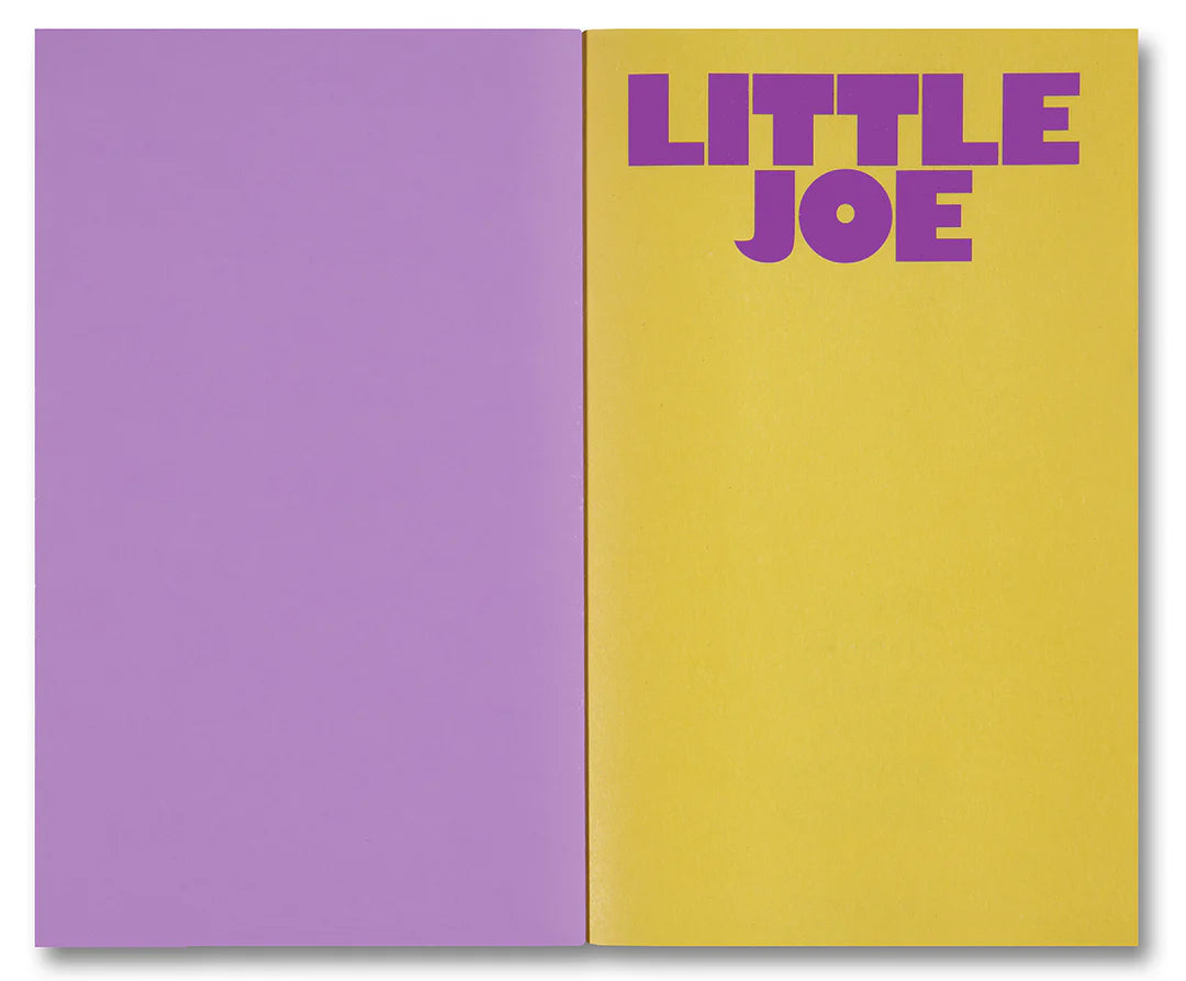 Little_Joe_ A_book_about_queers_and_cinema_mostly _Pic_1