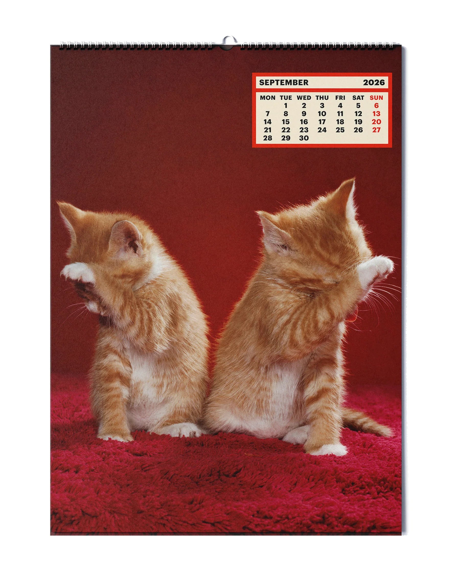 TOILETPAPER_CALENDAR_2026_PICTURE_1