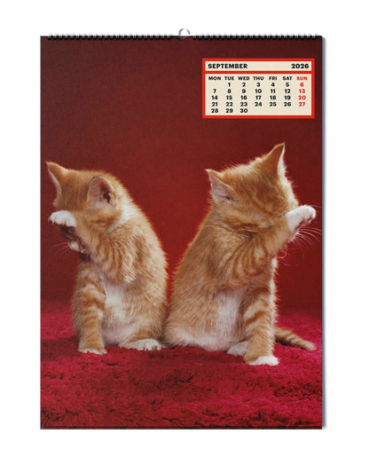 TOILETPAPER_CALENDAR_2026_PICTURE_1