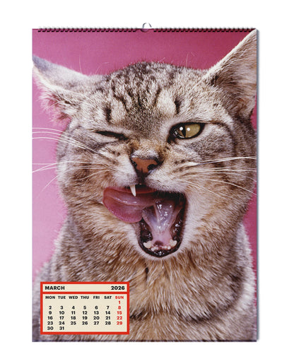 TOILETPAPER_CALENDAR_2026_PICTURE_2
