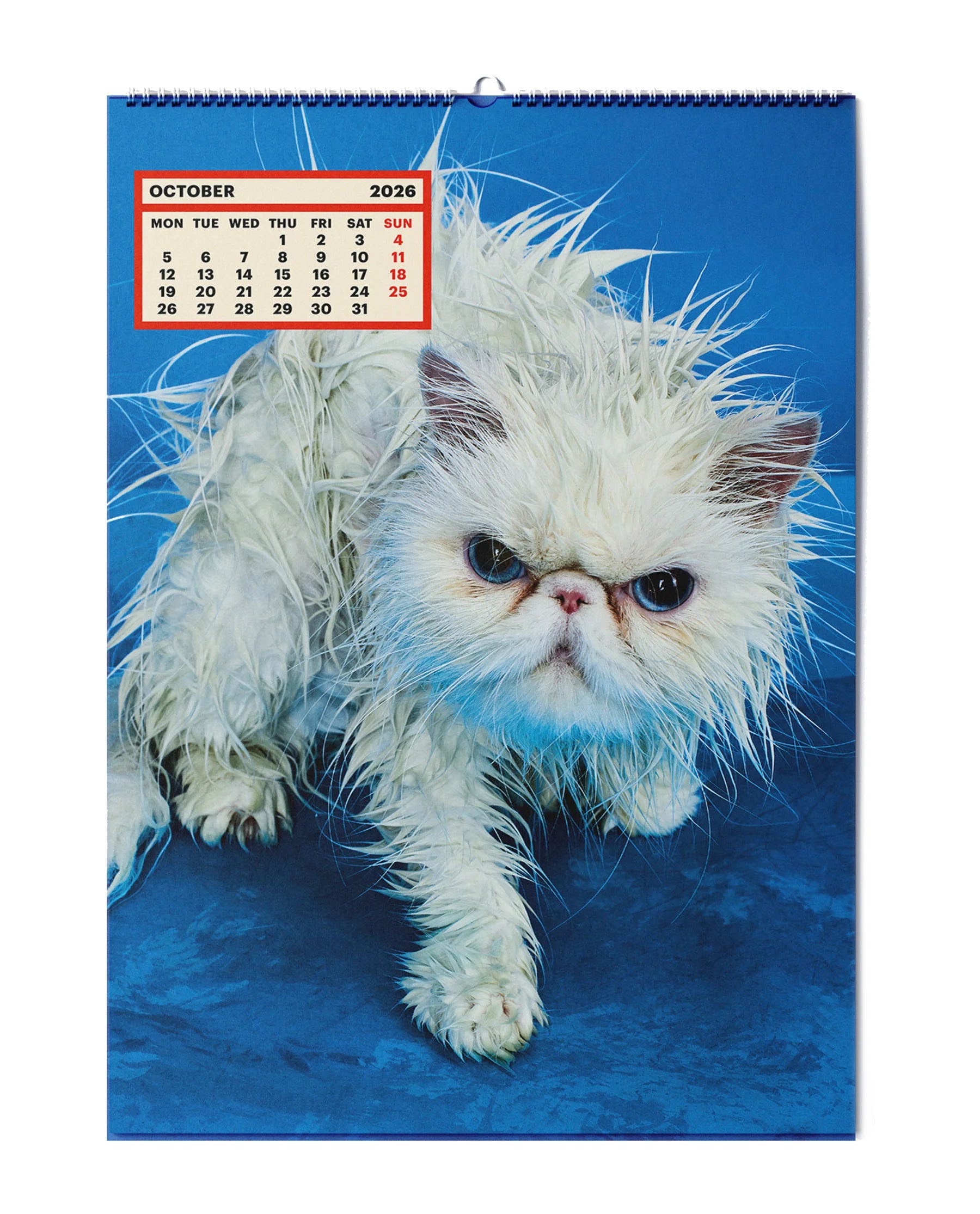 TOILETPAPER_CALENDAR_2026_PICTURE_3